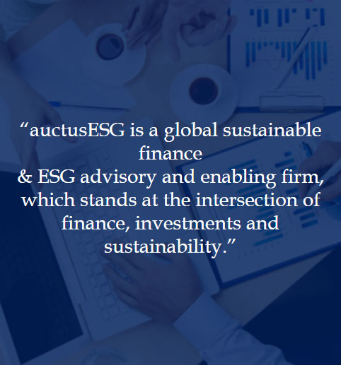 About auctusESG