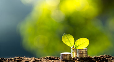 How Indian Businesses Can Grow Sustainably With ESG Approach