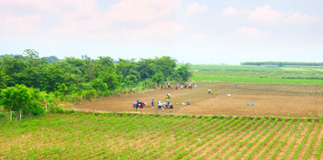 You are currently viewing Role of climate finance in the agriculture sector