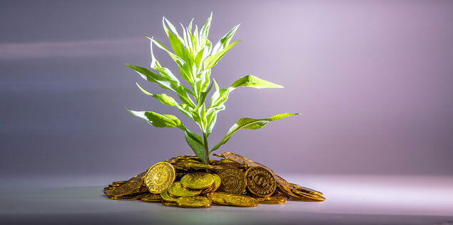 You are currently viewing Green trade financing in emerging markets