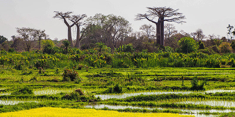 an_african_g20_opportunity