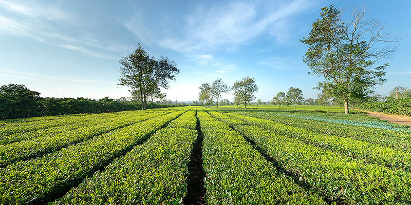 blended_and_carbon_finance_blueprint