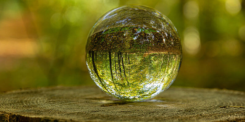 comparative_assessment_of_global_and_domestic