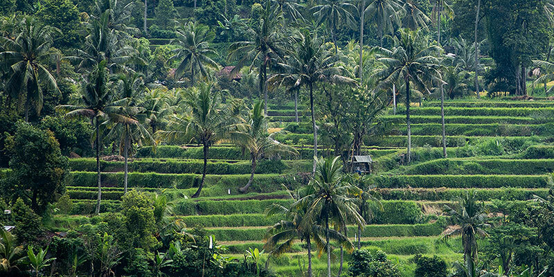 developing_a_sustainable_finance_practitioners