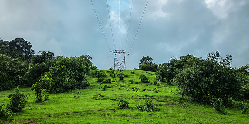 diagnostic_assessment_of