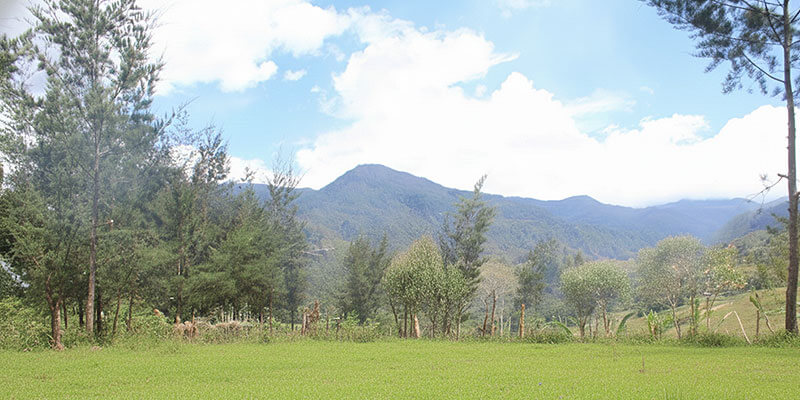 strengthening_financial_inclusion