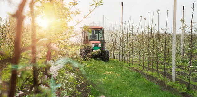You are currently viewing Financing sustainable food system in emerging markets