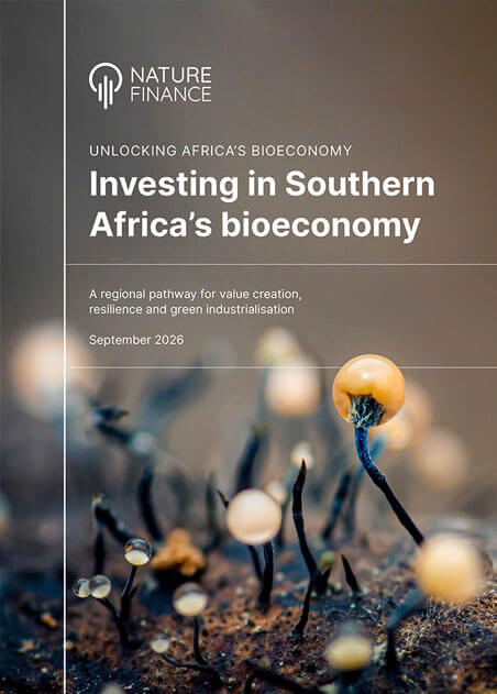 Read more about the article Investing in Southern Africa’s Bioeconomy